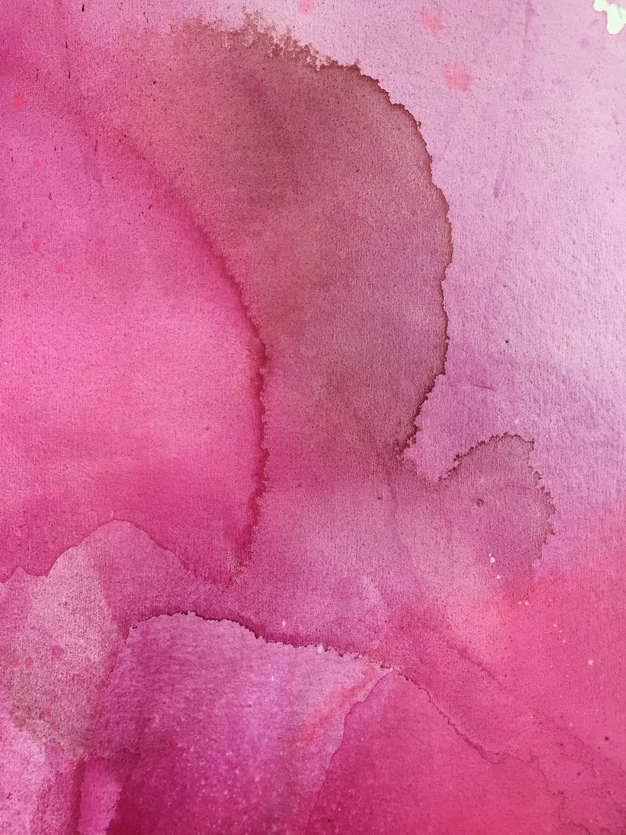 Bougainvillea