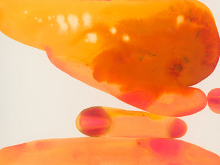 The Liptons