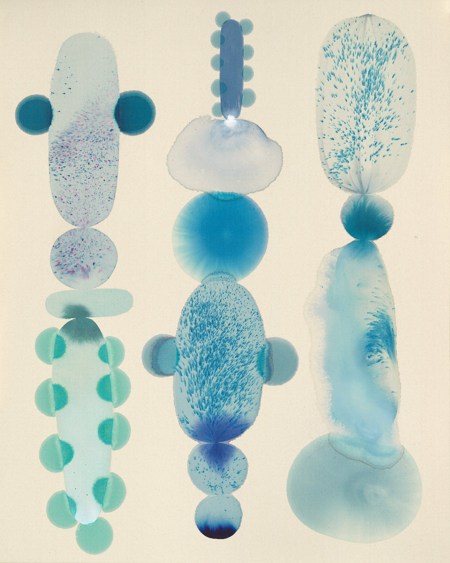 Sea Bloom II Print