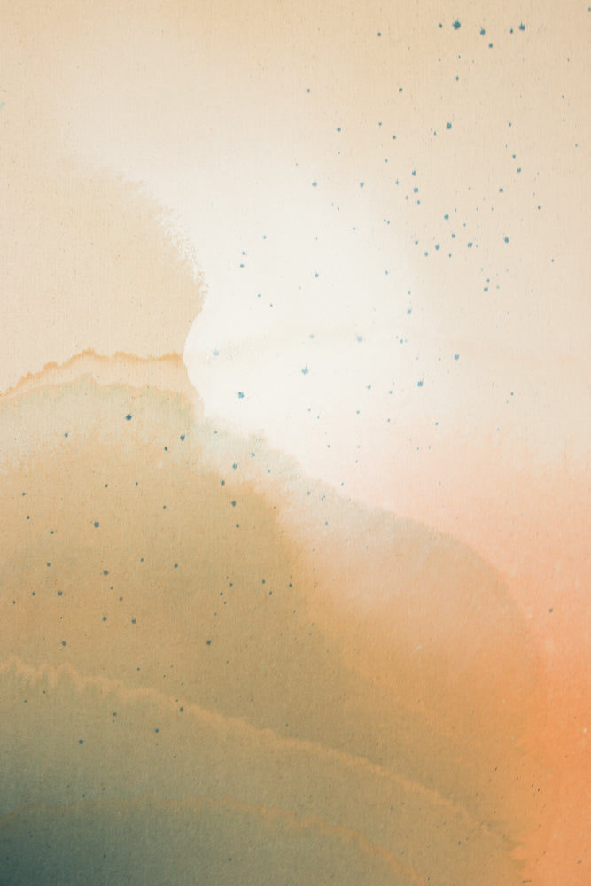 Pressed Poppys II