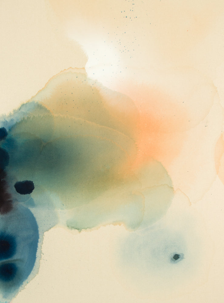 Pressed Poppys II