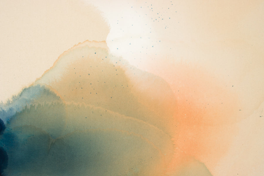 Pressed Poppys II
