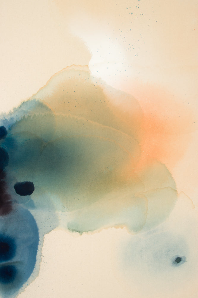 Pressed Poppys II