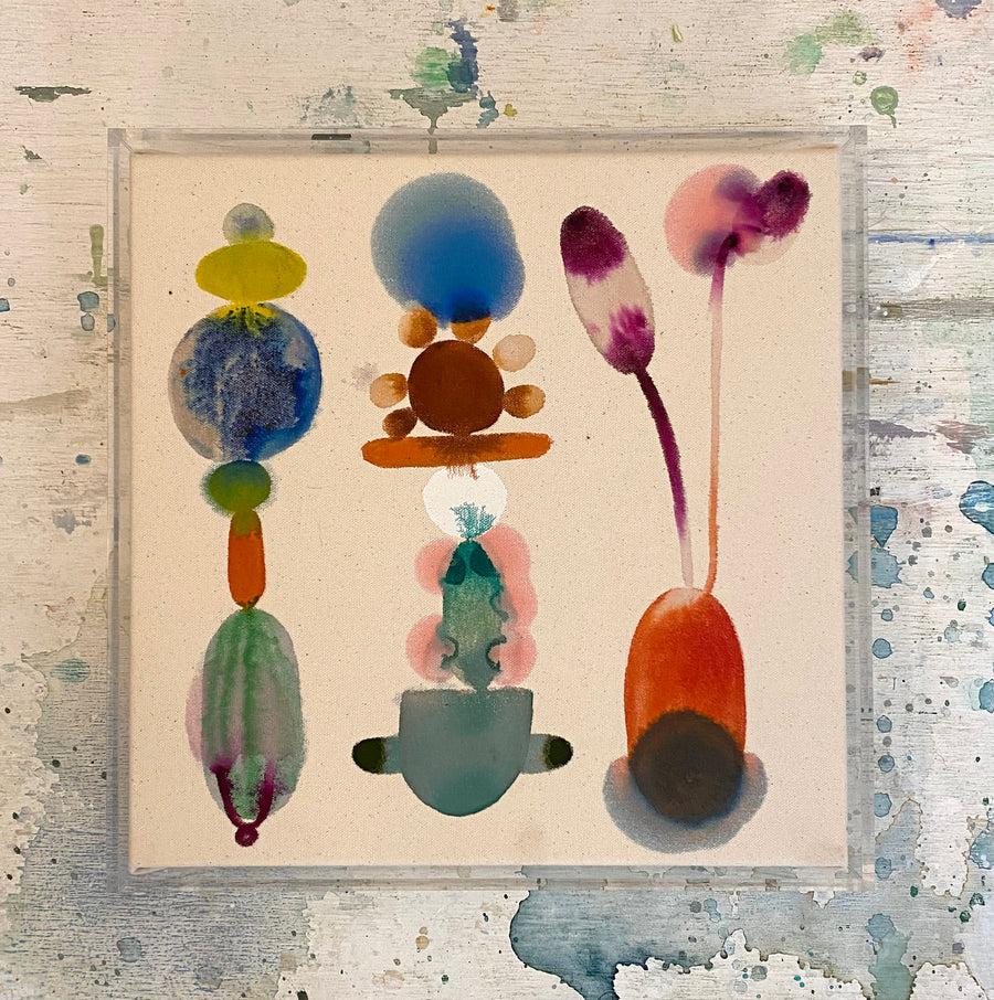 Tulip